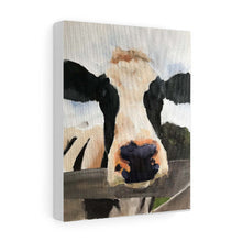 Load image into Gallery viewer, Cow Painting, Print, Canvas, Poster, Originals commissions, Wall art, Fine Art - from original oil painting by James Coates