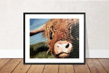 Load image into Gallery viewer, Cow Painting, PRINTS, Canvas, Posters, Originals, Commissions - Fine Art, from original oil painting by James Coates