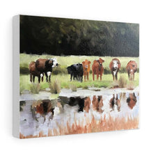 Load image into Gallery viewer, Cow Grazing Painting, PRINTS, Canvas, Posters, Originals, Commission - Fine Art, from original oil painting by James Coates