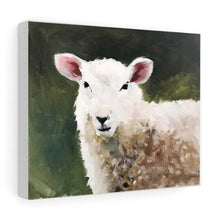 Load image into Gallery viewer, Sheep Painting, PRINTS, Canvas, Posters, Originals, Commissions - Fine Art - from original oil painting by James Coates