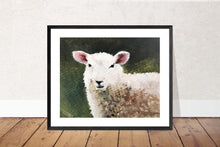 Load image into Gallery viewer, Sheep Painting, PRINTS, Canvas, Posters, Originals, Commissions - Fine Art - from original oil painting by James Coates