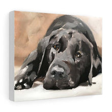 Load image into Gallery viewer, Labrador Dog Painting,Prints, Canvas, Posters, Originals, Commissions, Fine Art , from original oil painting by James Coates