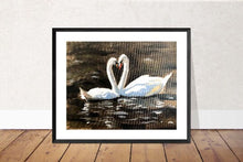 Load image into Gallery viewer, Swan Painting, PRINTS, Canvas, Posters, Originals, Commissions Fine art - from original oil painting by James Coates