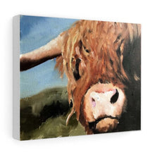 Load image into Gallery viewer, Cow Painting, PRINTS, Canvas, Posters, Originals, Commissions - Fine Art, from original oil painting by James Coates