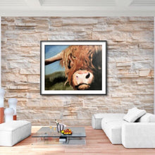 Load image into Gallery viewer, Cow Painting, PRINTS, Canvas, Posters, Originals, Commissions - Fine Art, from original oil painting by James Coates