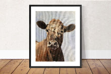 Load image into Gallery viewer, Cow Painting, PRINTS, Canvas, Posters, Originals, Commissions - Fine Art, from original oil painting by James Coates