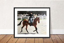 Load image into Gallery viewer, Horse Painting,PRINTS, Canvas, Posters, Commissions, Fine Art - from original oil painting by James Coates