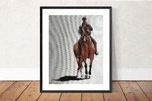 Load image into Gallery viewer, Horse Painting,PRINTS, Canvas, Posters, Commissions, Fine Art - from original oil painting by James Coates