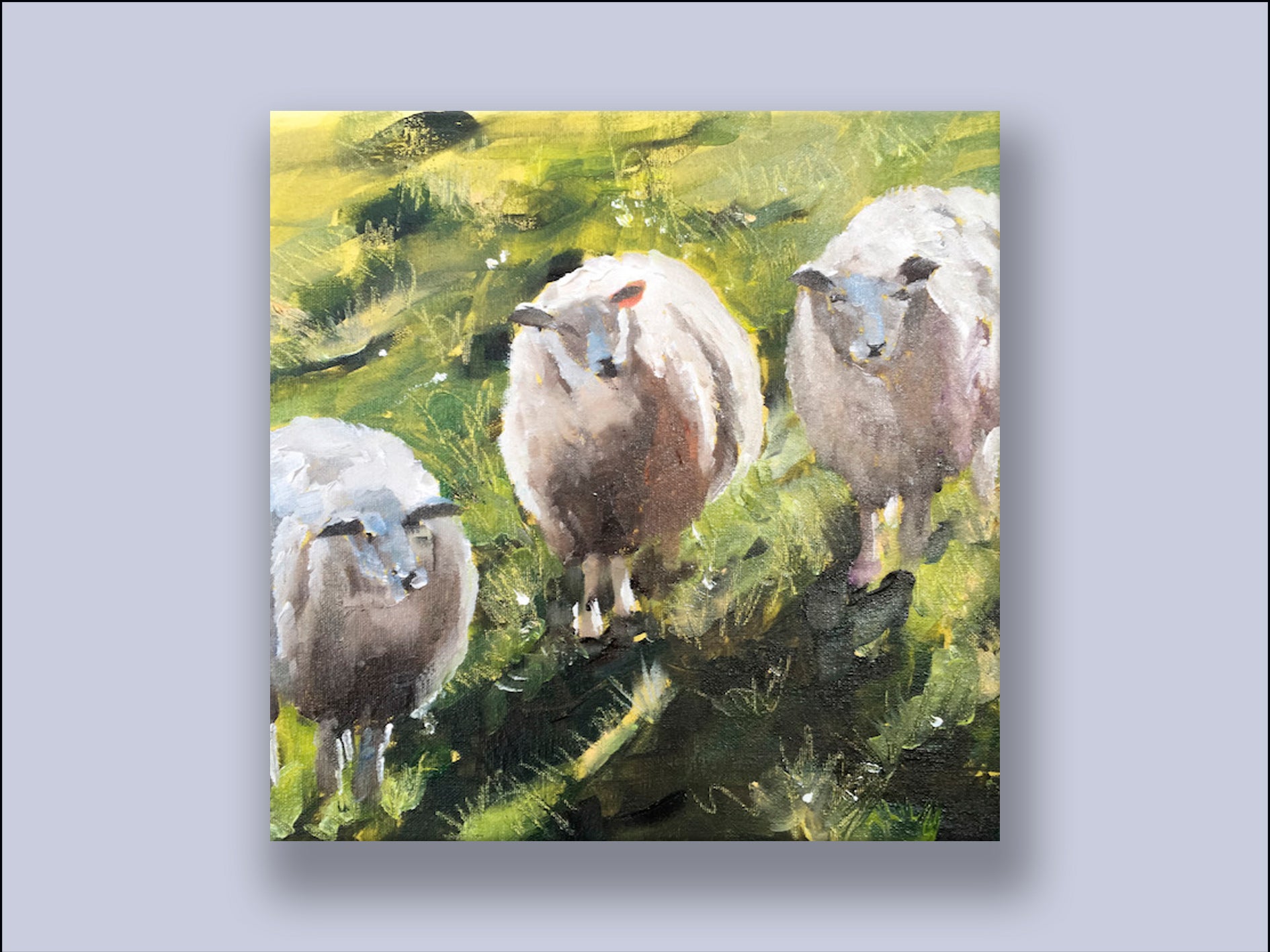We Three Sheep Canvas Wall Art Print James Coates Artist