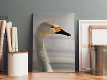 Load image into Gallery viewer, Swan - A2 Canvas Print