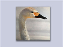 Load image into Gallery viewer, The Lone Swan - Canvas Wall Art Print