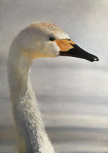 Load image into Gallery viewer, Swan  - A2 Canvas Print
