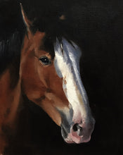 Load image into Gallery viewer, Horse  - A2 Canvas Print
