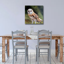 Load image into Gallery viewer, Barn Owl - Canvas Wall Art Print
