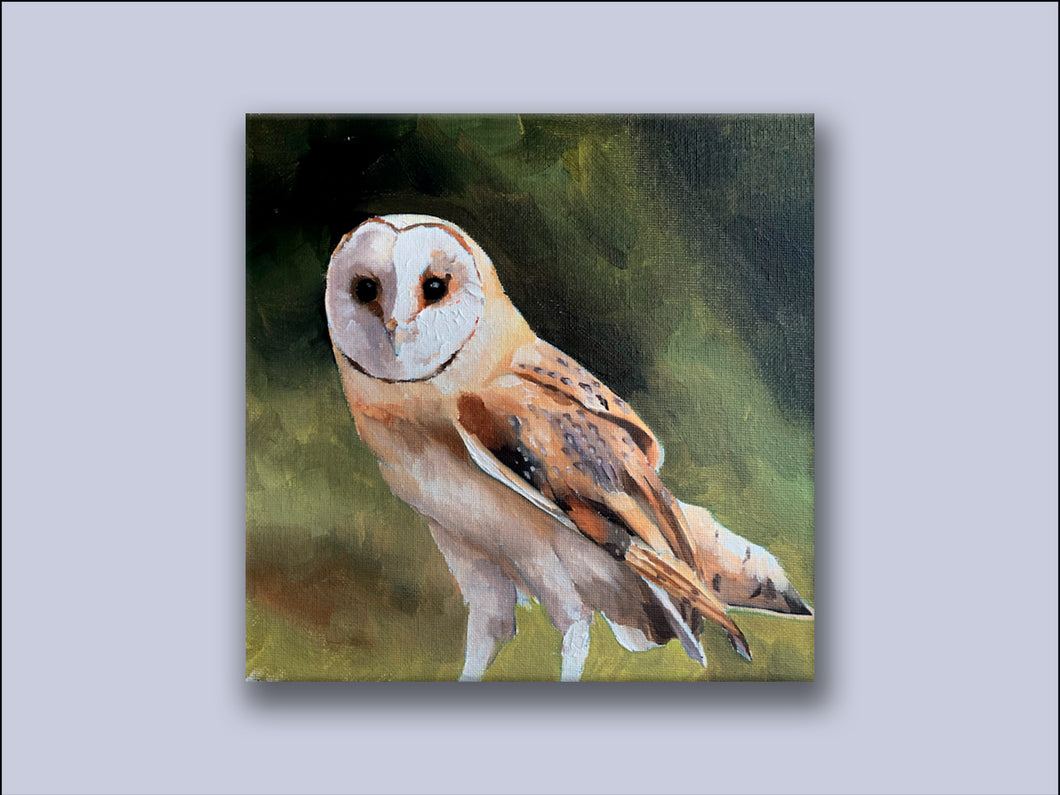 Barn Owl - Canvas Wall Art Print