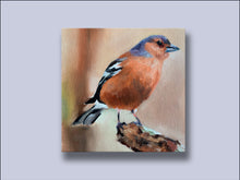 Load image into Gallery viewer, Chaffinch - Canvas Wall Art Print

