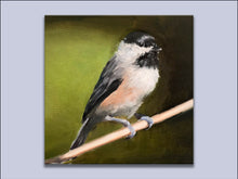 Load image into Gallery viewer, Coal Tit - Canvas Wall Art Print
