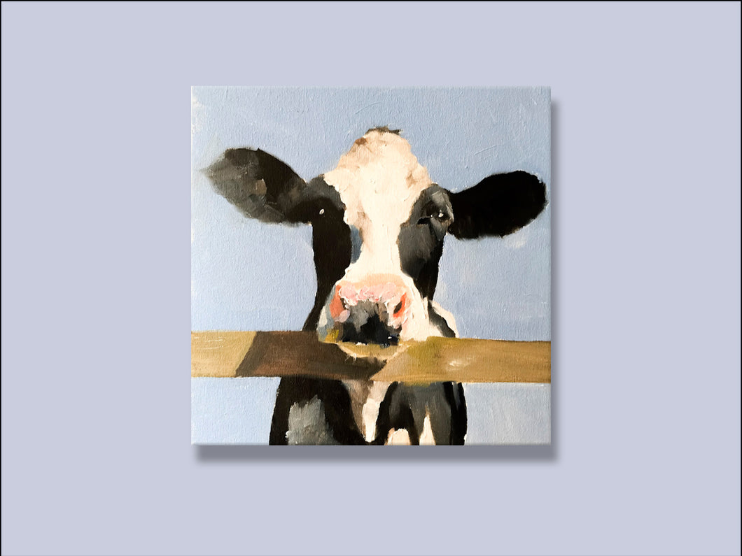 Cows Are On The Fence - Canvas Wall Art Print