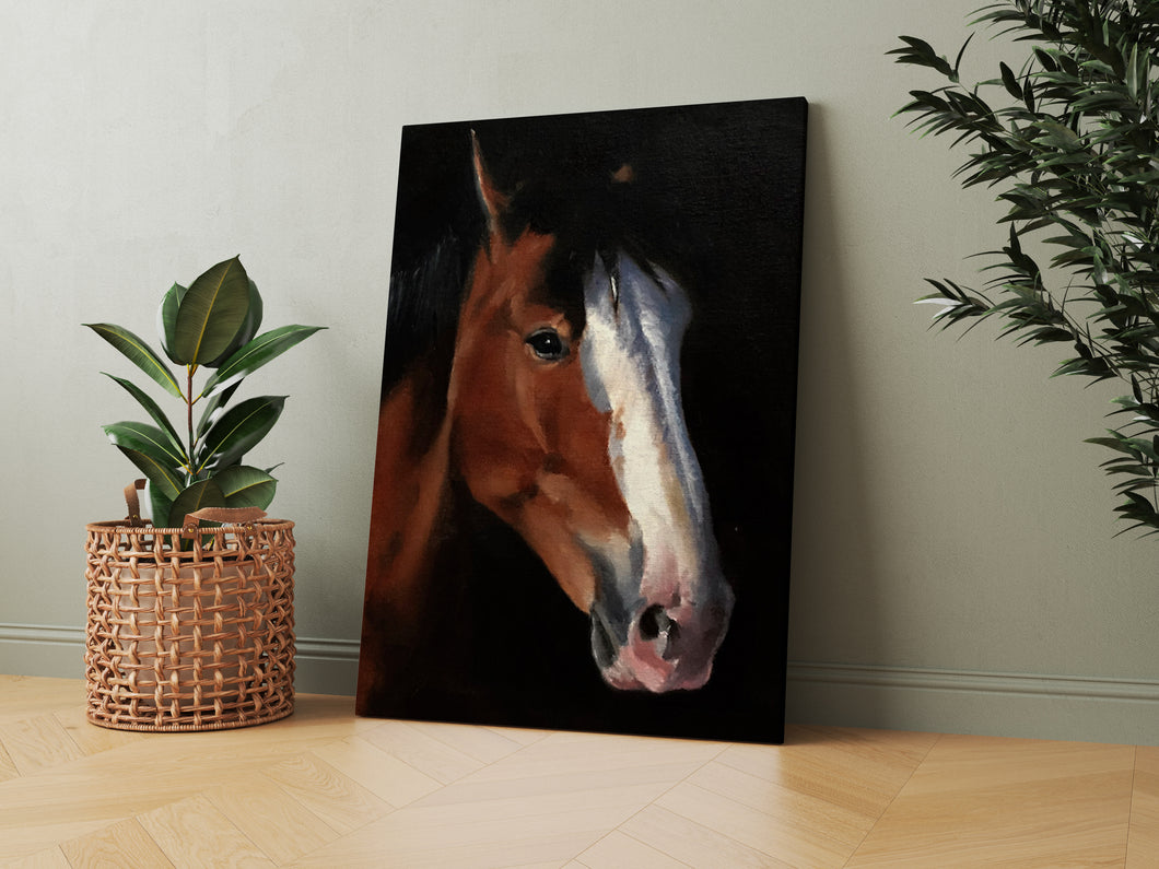 Horse  - A2 Canvas Print