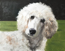Load image into Gallery viewer, Poodle dog - Painting  - Dog art - Dog Print - Fine Art - from original oil painting by James Coates
