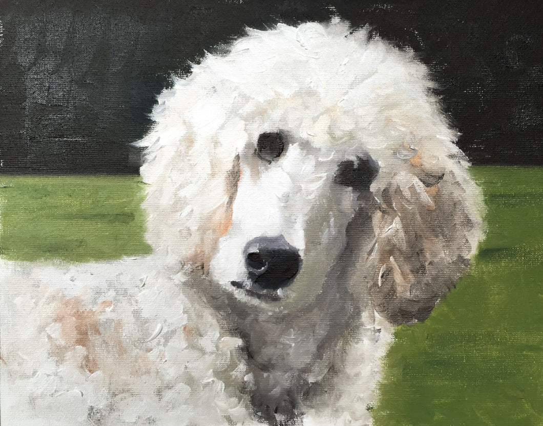 Poodle dog - Painting  - Dog art - Dog Print - Fine Art - from original oil painting by James Coates