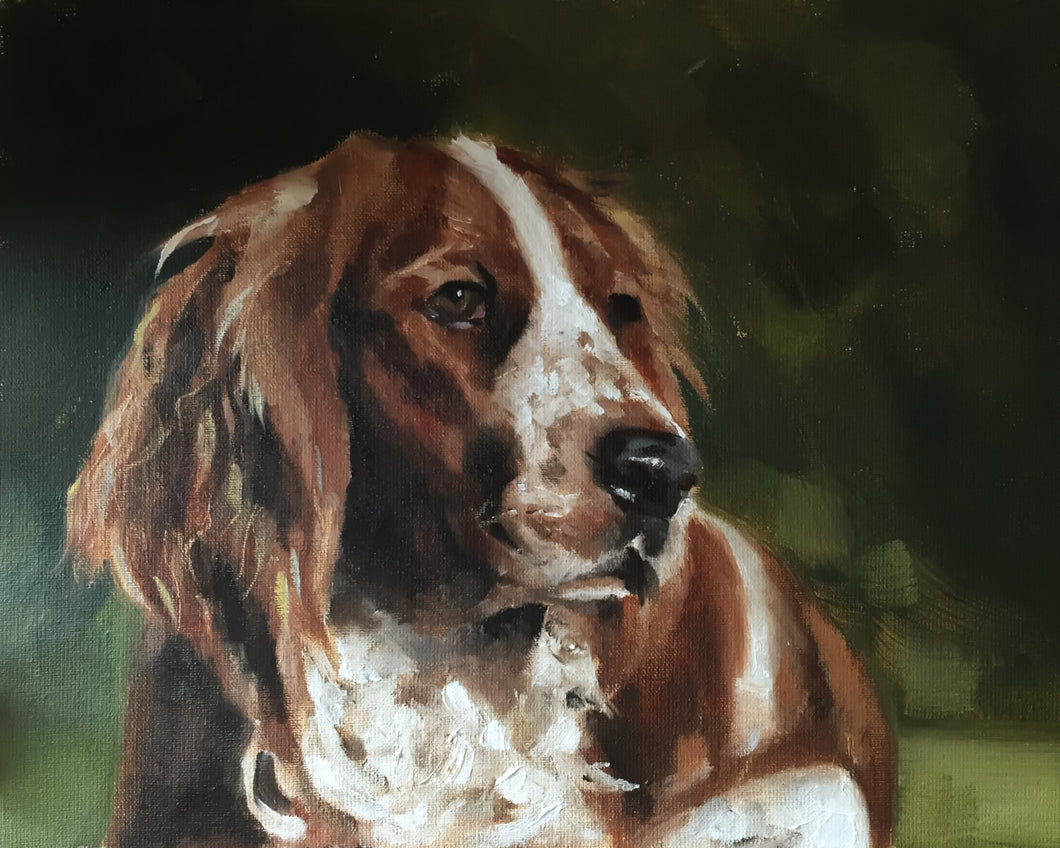 Spaniel Dog Painting, Prints, Canvas, Posters, Originals, Commissions, Fine Art - from original oil painting by James Coates