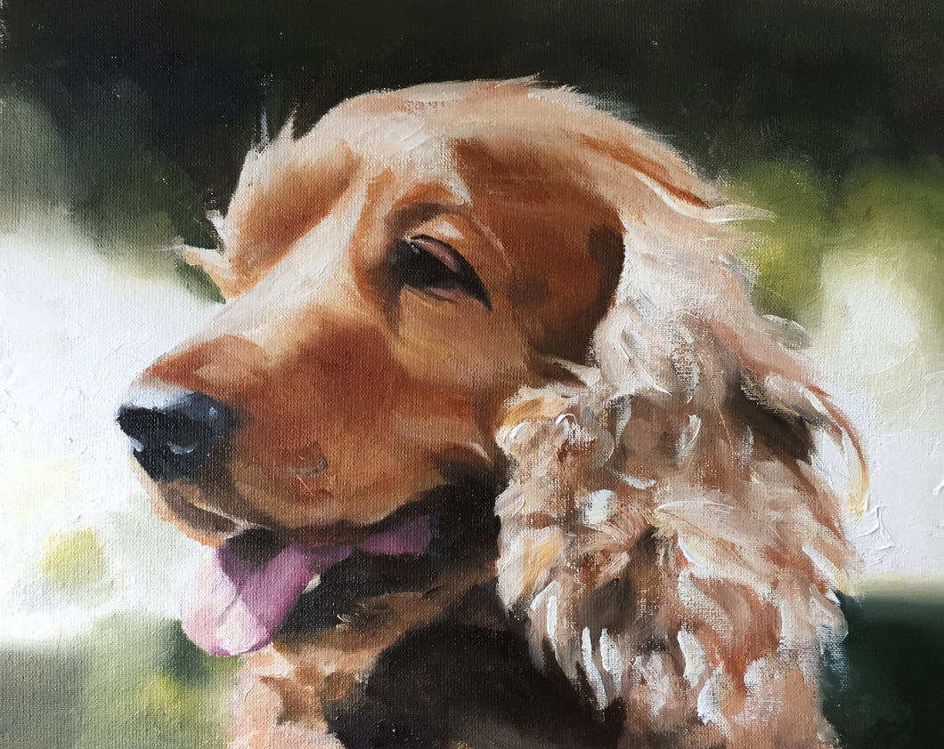 Spaniel Dog Painting, PRINTS, Canvas, Posters, Originals, Commissions - Fine Art , from original oil painting by James Coates