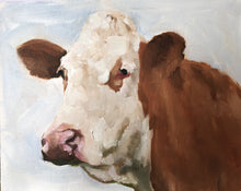 Load image into Gallery viewer, Cow Painting, Prints, Posters, Originals, Commissions, Fine Art - from original oil painting by James Coates
