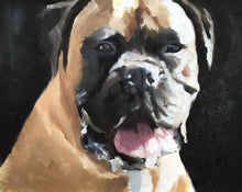 Load image into Gallery viewer, Boxer dog Painting, PRINTS, Canvas, Posters, Commissions - Fine Art - from original oil painting by James Coates
