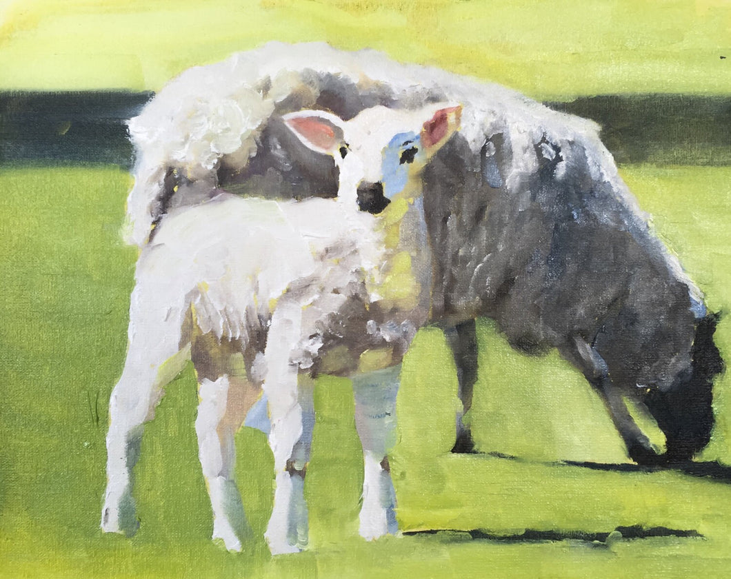 Sheep Painting, Posters, Prints, Commissions, Fine art,  from original painting by J Coates