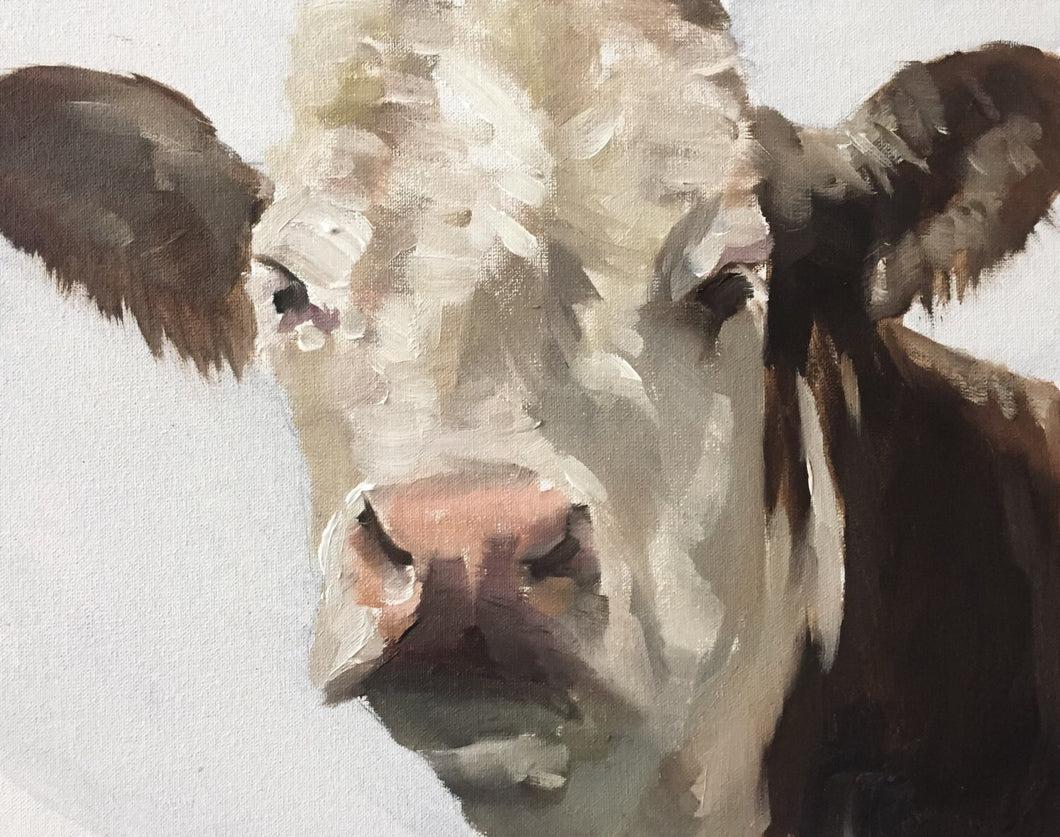 Cow Painting, Cow art, Cow Print, Fine Art - from original oil painting by James Coates