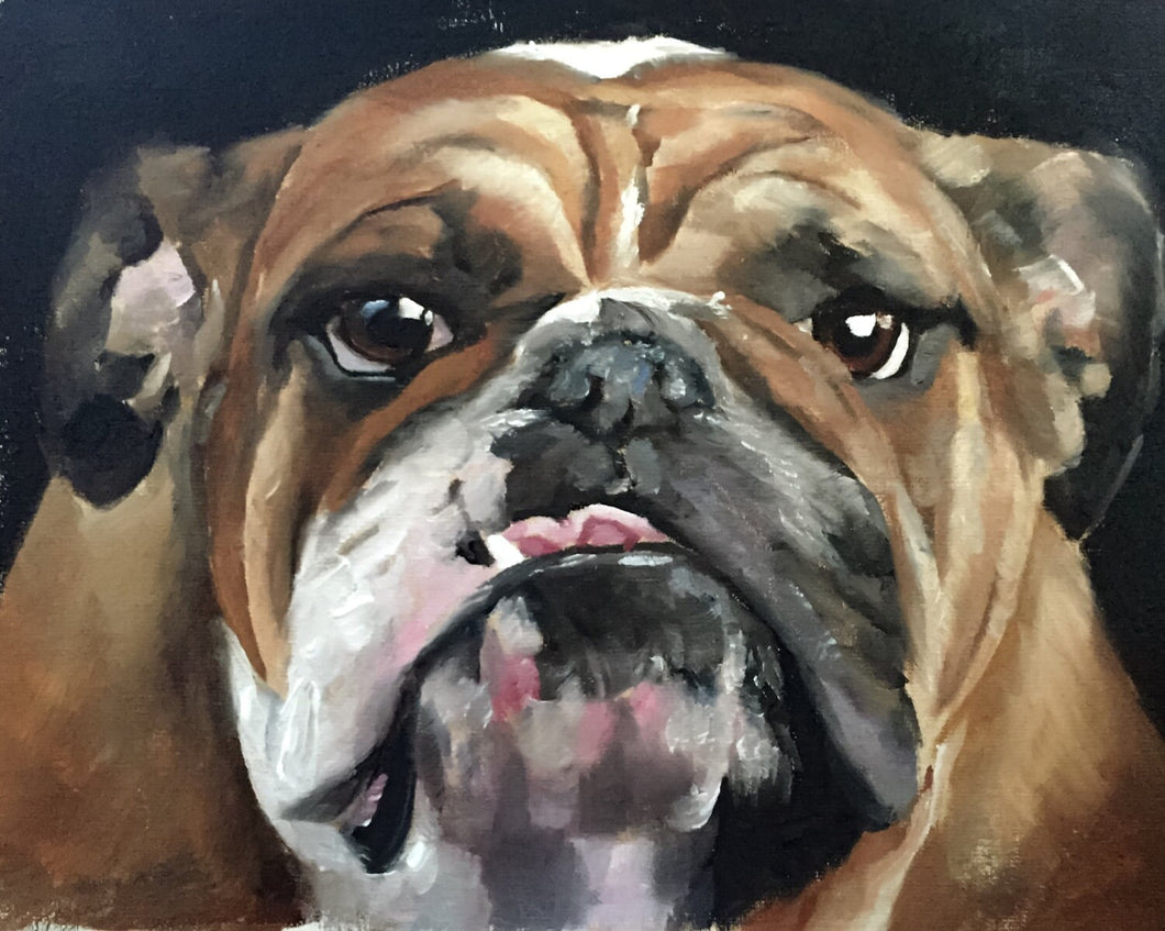 Bull Dog Painting, Prints, Canvas, Posters, originals, Commissions, - Fine Art - from original oil painting by James Coates
