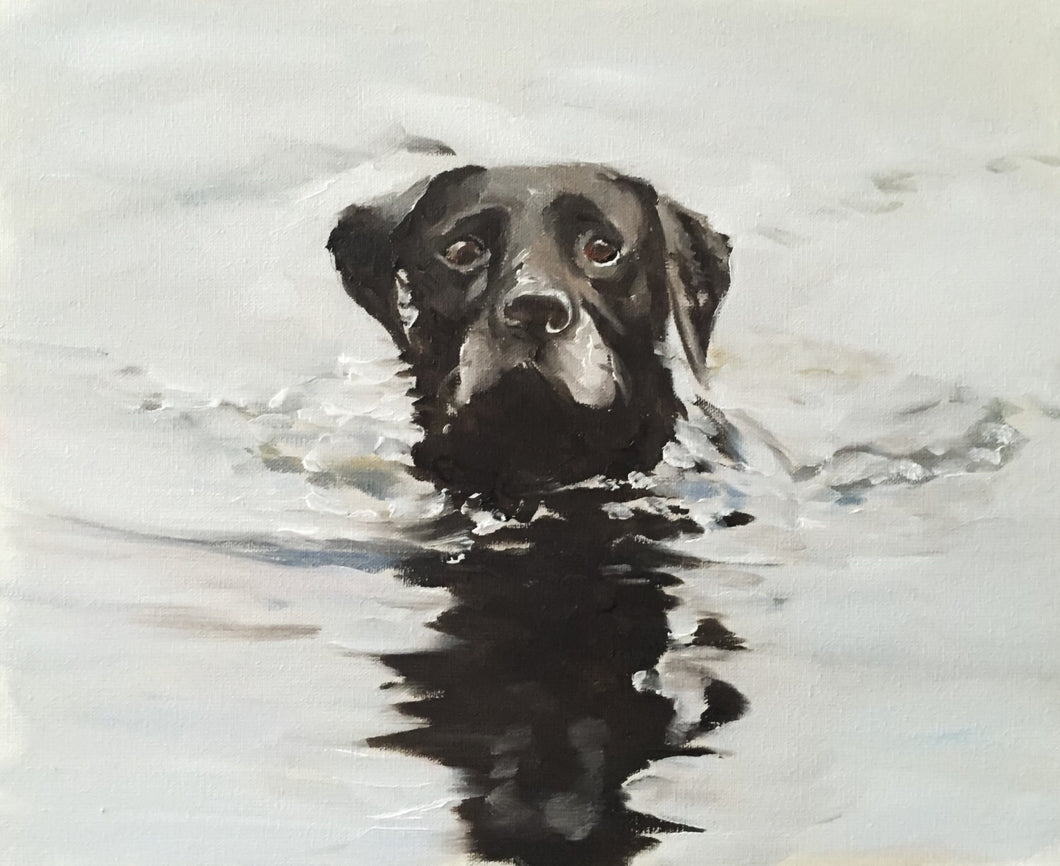 Black Labrador Dog Painting, Prints, Canvas, Posters, Originals, Commissions, Fine Art - from original oil painting by James Coates