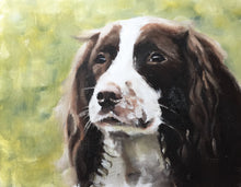 Load image into Gallery viewer, Spaniel dog Painting - Dog art - Dog Print - Fine Art - from original oil painting by James Coates
