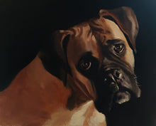 Load image into Gallery viewer, Boxer dog Painting, PRINTS, Canvas, Posters, Commissions - Fine Art - from original oil painting by James Coates
