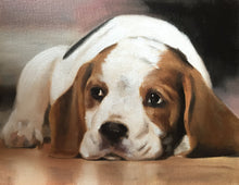 Load image into Gallery viewer, Beagle Dog Painting, Prints, Canvas, Posters, Originals, Commissions, Fine Art - from original oil painting by James Coates
