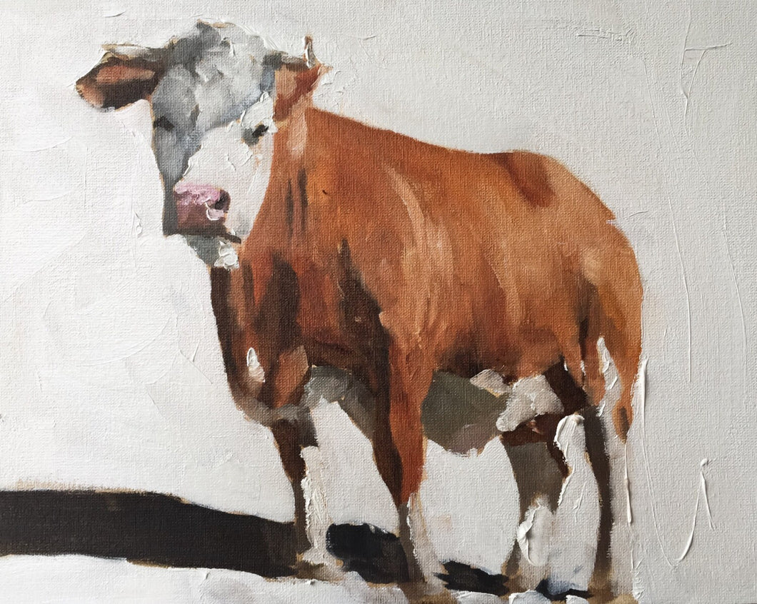 Cow Painting, Prints, Posters, Originals, Commissions, Fine Art - from original oil painting by James Coates