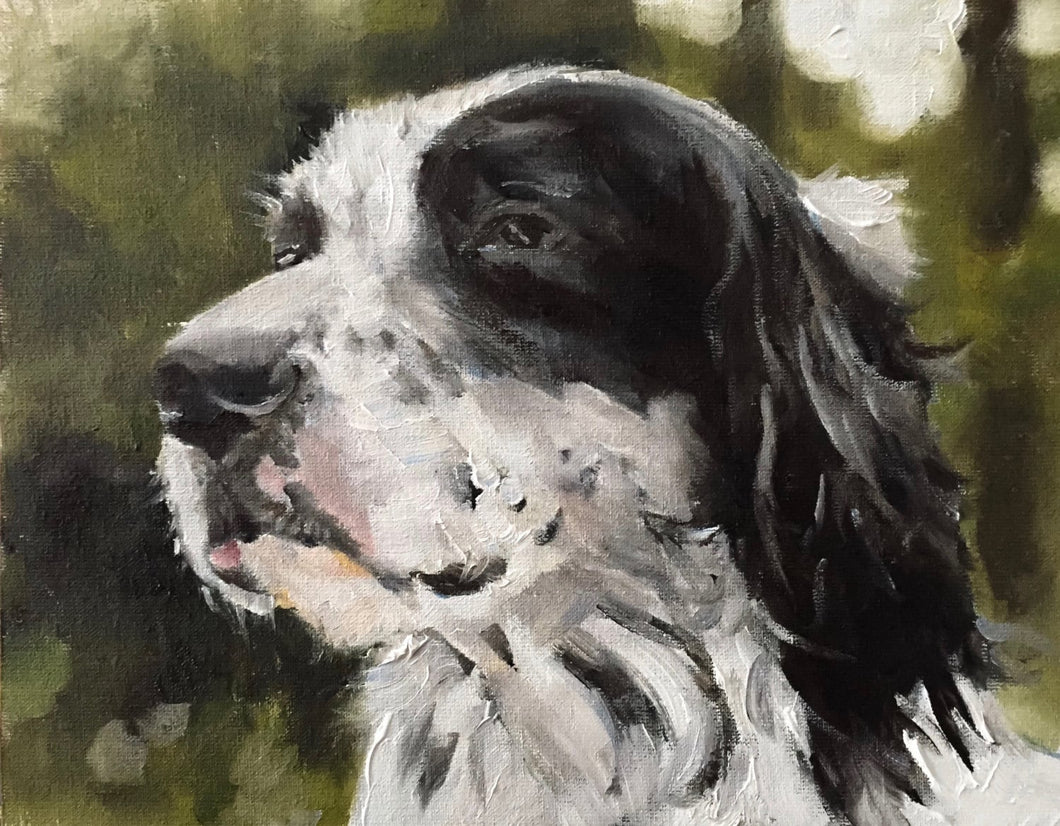 Spaniel Dog Painting, Prints, Canvas, Posters, Originals, Commissions, Fine Art - from original oil painting by James Coates