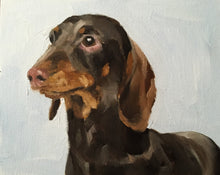 Load image into Gallery viewer, Dachshund Painting, Prints, Canvas, Posters, Originals, Commissions,  Fine Art - from original oil painting by James Coates
