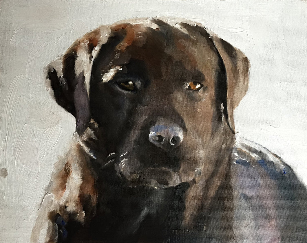 Labrador Dog Painting, Prints, Canvas, Posters, Originals, Commissions,  Fine Art - from original oil painting by James Coates