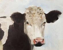 Load image into Gallery viewer, Cow Painting, Prints, Canvas, Posters, originals, Commissions, Fine Art - from original oil painting by James Coates
