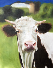 Load image into Gallery viewer, Cow Painting, Prints, Canvas, Posters, Originals, Commissions, Fine Art - from original oil painting by James Coates
