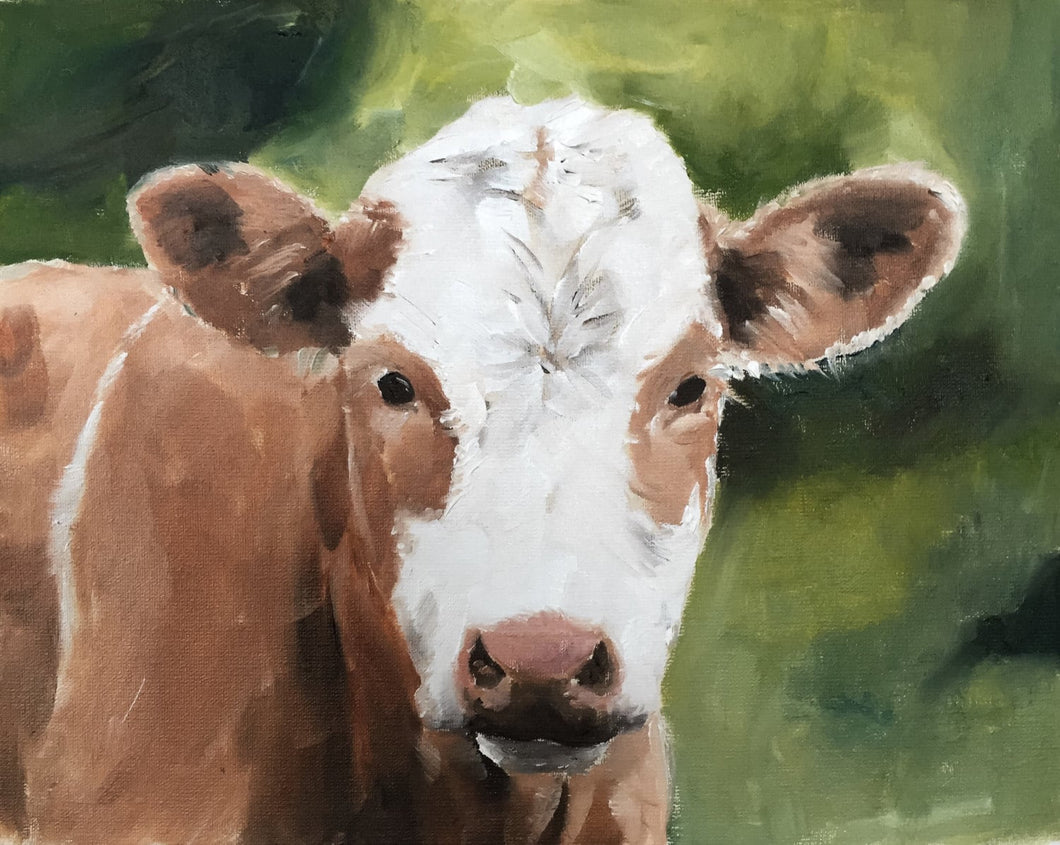 Cow Painting -Cow art - Cow Print - Fine Art - from original oil painting by James Coates
