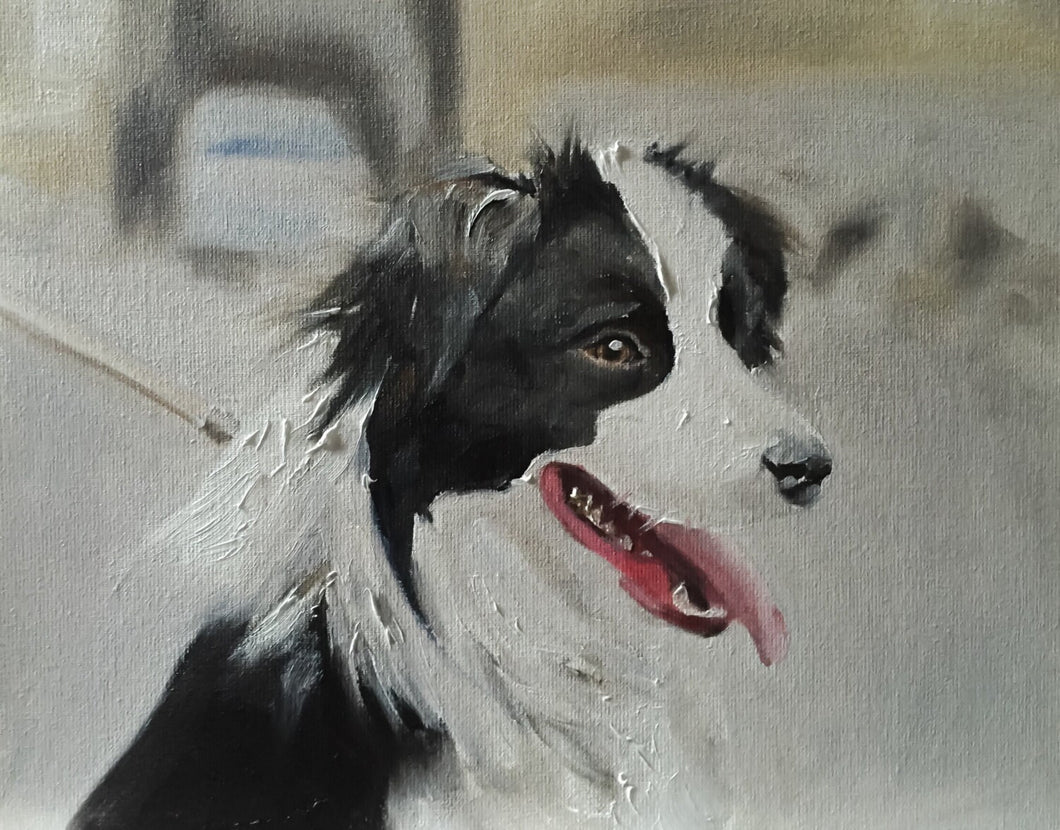 Collie Dog Painting, Prints, Canvas, Posters, Originals, Commissions, Fine Art - from original oil painting by James Coates