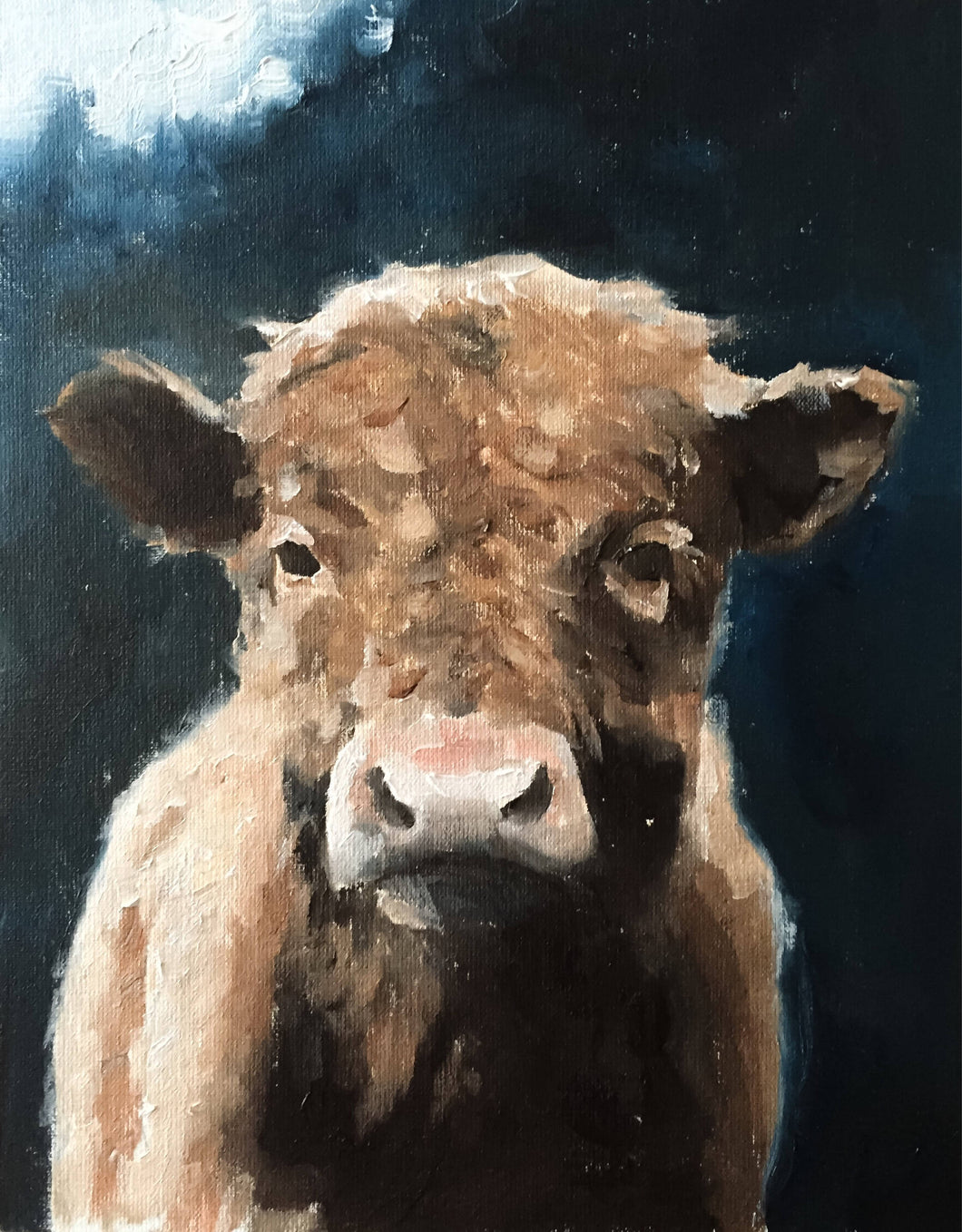 Cow Painting, Prints, Canvas, Posters, Originals, Commissions , Fine Art - from original oil painting by James Coates