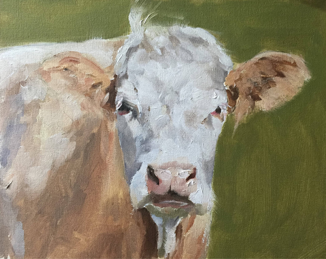 Cow Painting -Cow art - Cow Print - Fine Art - from original oil painting by James Coates