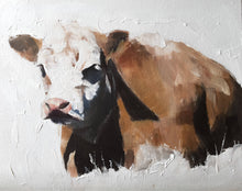 Load image into Gallery viewer, Cow Painting, Prints, Canvas, Posters, Originals, Commissions,  Fine Art - from original oil painting by James Coates
