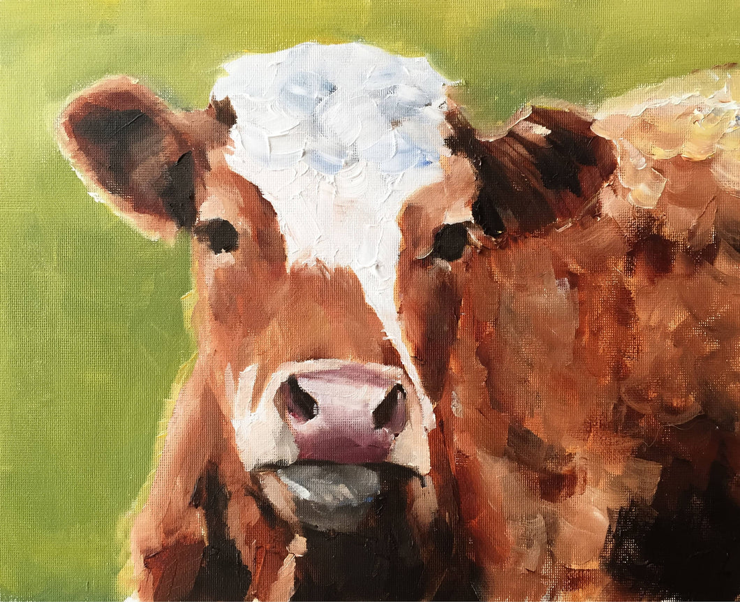 Cow Painting - Cow art - Cow Print - Fine Art - from original oil painting by James Coates