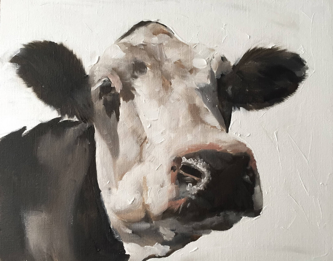 Cow Painting, Prints, Canvas, Posters, Originals, Commissions,  Fine Art - from original oil painting by James Coates