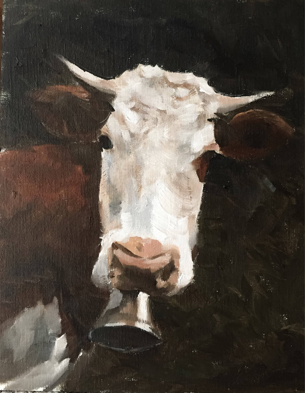 Brown and white Cow Painting, Print, Canvas, Poster, Original, Commissions - Fine Art - from original oil painting by James Coates